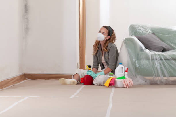 Reliable Mold Remediation contractor in Rolling Meadows, IL by WQB Mold Removal